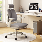 premium executive chair ergonomic office chair kaguyasuBGY 2052 main images