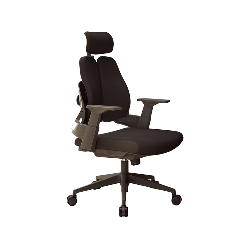 premium executive chair ergonomic office chair kaguyasuBGY 2052 main images2