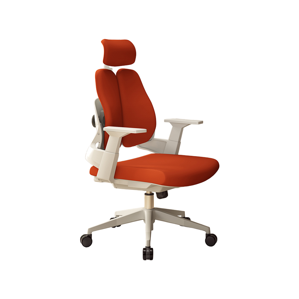 premium executive chair ergonomic office chair kaguyasuBGY 2052 main images 6